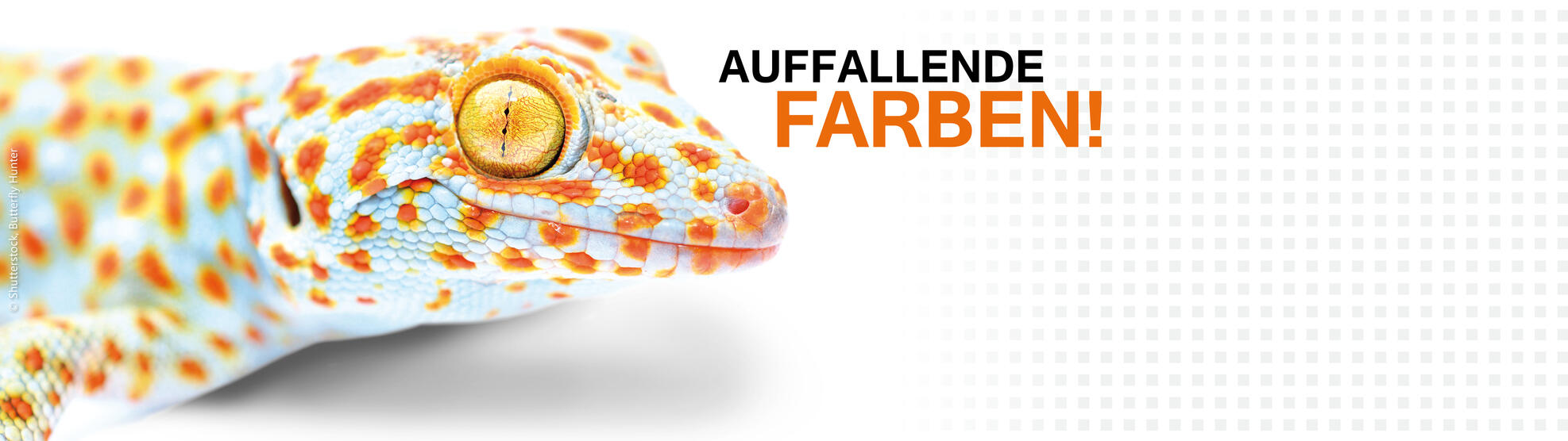 Header Startseite